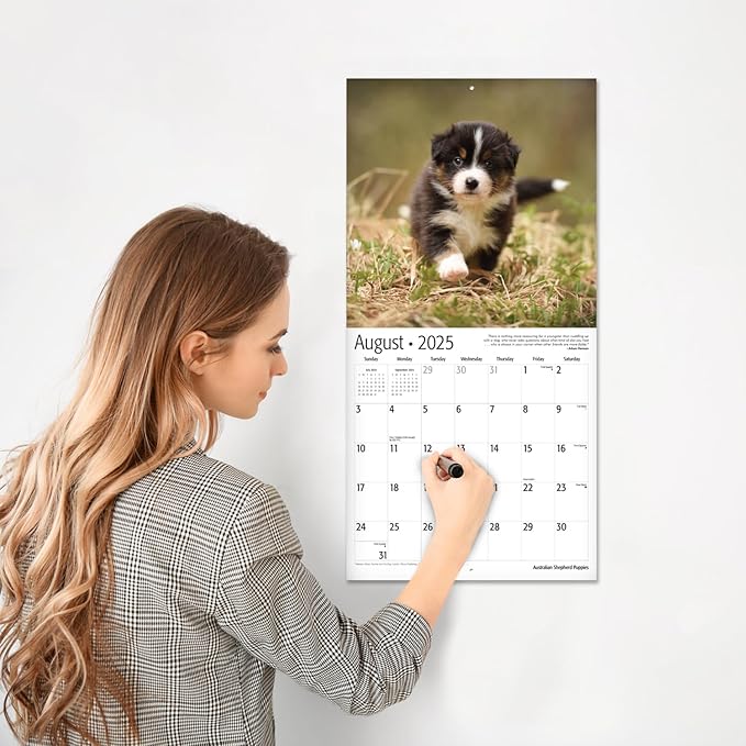 RED EMBER Australian Shepherd Puppies 2025 Wall Calendar 12 Month | 12" x 24" Open | Thick & Sturdy Paper | Giftable | Calendar 2025