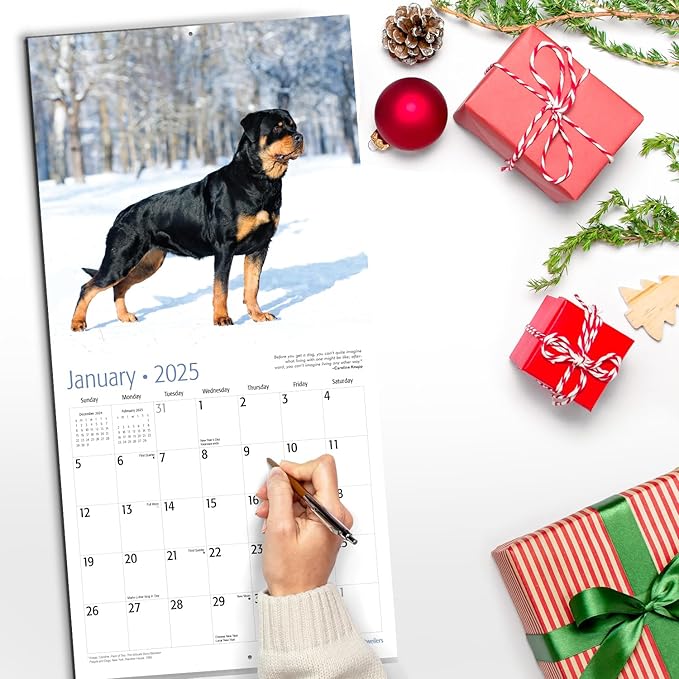 RED EMBER Rottweilers 2025 Wall Calendar 12 Month | 12" x 24" Open | Thick & Sturdy Paper | Giftable | Calendar 2025