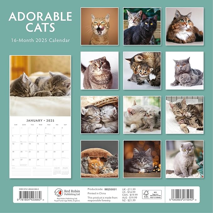 Adorable Cats -2025 Square Wall Calendar - by Red Robin Publishing