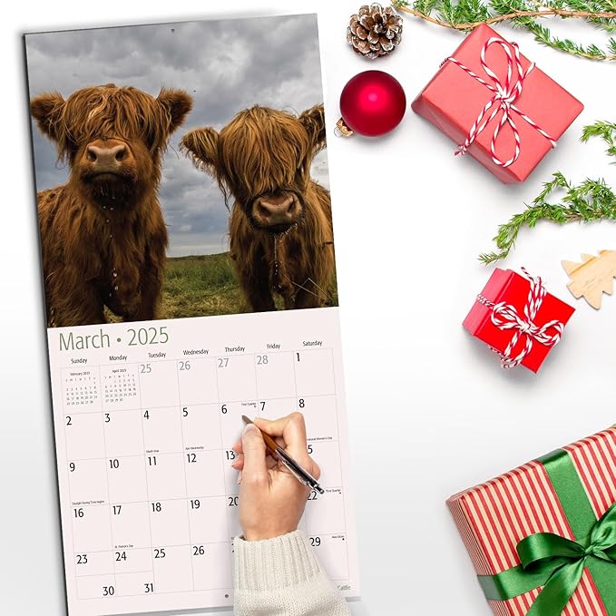 RED EMBER Highland Cattle 2025 Wall Calendar 12 Month | 12" x 24" Open | Thick & Sturdy Paper | Giftable | Calendar 2025