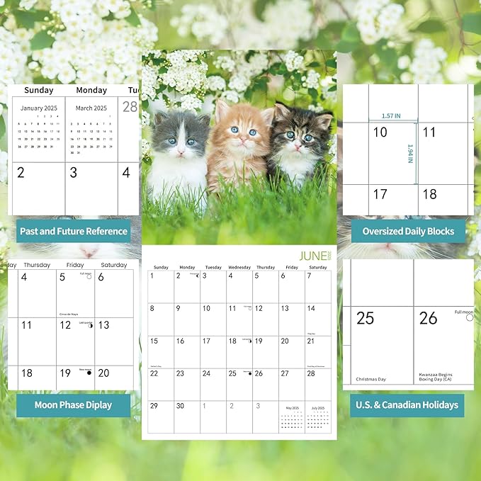 2025 Wall Calendar,Calendar 2025,Kittens Monthly Wall Calendar, 12" x 24" Open,Family Planner Calendar Jul.2024 - Dec.2025 Organizer with Cute kitten & flower Images, for Kitty Cat Lovers