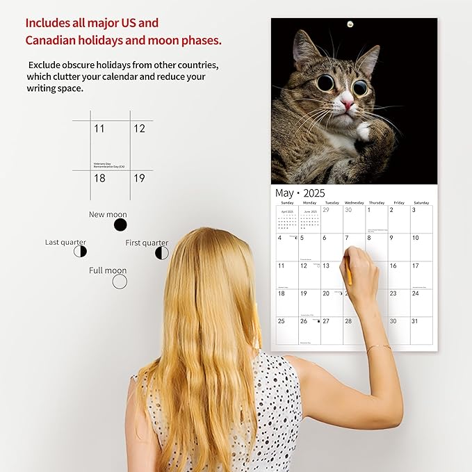 2025 Wall Calendar,Funny Calendar 2025, November 2024 - December 2025, Wall Calendar Funny Animal Memes, 12" x 24" Opened, Full Page 14 Months Thick Paper for Gift Calendar Organizing Planning