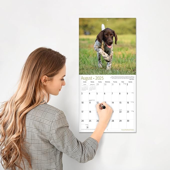 RED EMBER Select - German Shorthaired Pointers 2025 Wall Calendar 12 Month | 12" x 24" Open | Thick & Sturdy Paper | Giftable | Calendar 2025