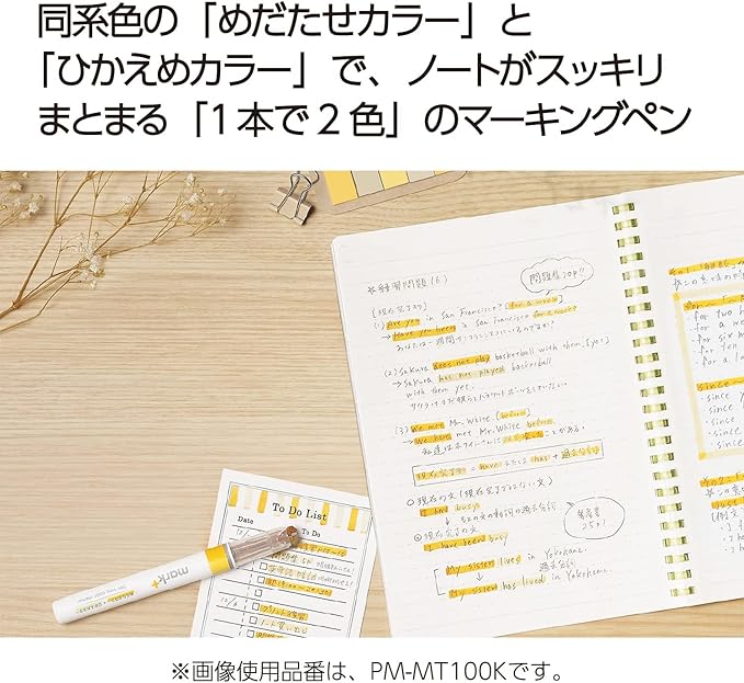 KOKUYO 2-Tone Vivid Highlighter 5 Colors Set. Mark+ Two Colors Dual Tips Markers, Quick Dry Similar Shades Tip 5 Pack of Gold, Gray, Light Green, Navy, Red. Japan Import (PM-MT100-5S2).