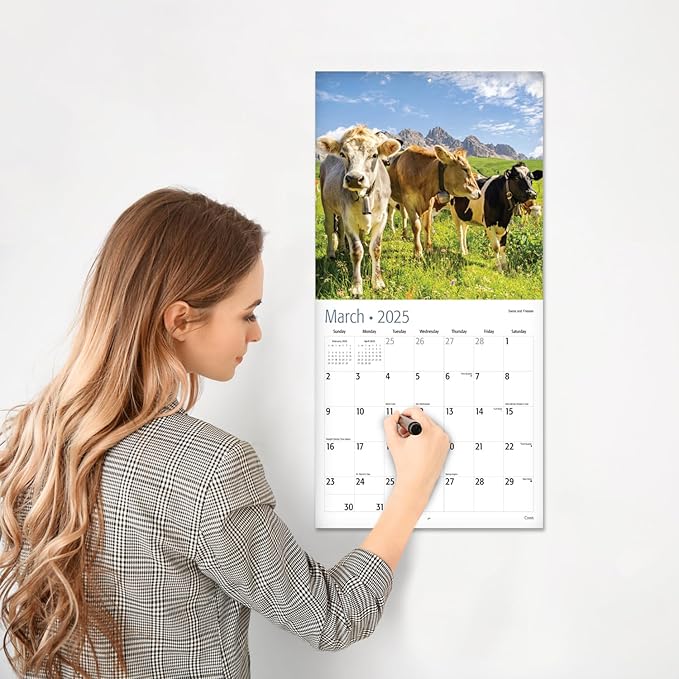 RED EMBER Cows 2025 Wall Calendar 12 Month | 12" x 24" Open | Thick & Sturdy Paper | Giftable | Calendar 2025