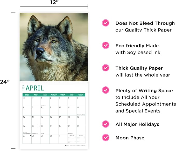 2025 Wolves Monthly Wall Calendar by Bright Day, Includes Over 300 Stickers, 12 x 12 Inch