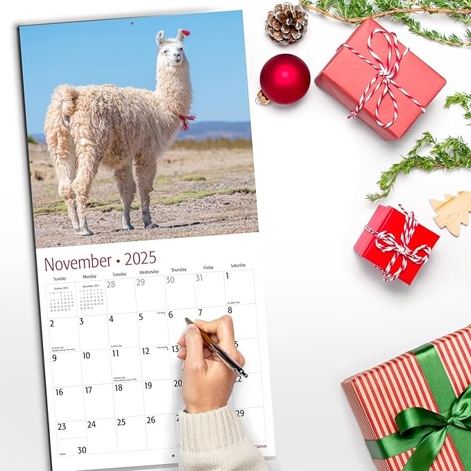 RED EMBER Llamas 2025 Wall Calendar 12 Month | 12" x 24" Open | Thick & Sturdy Paper | Giftable | Calendar 2025