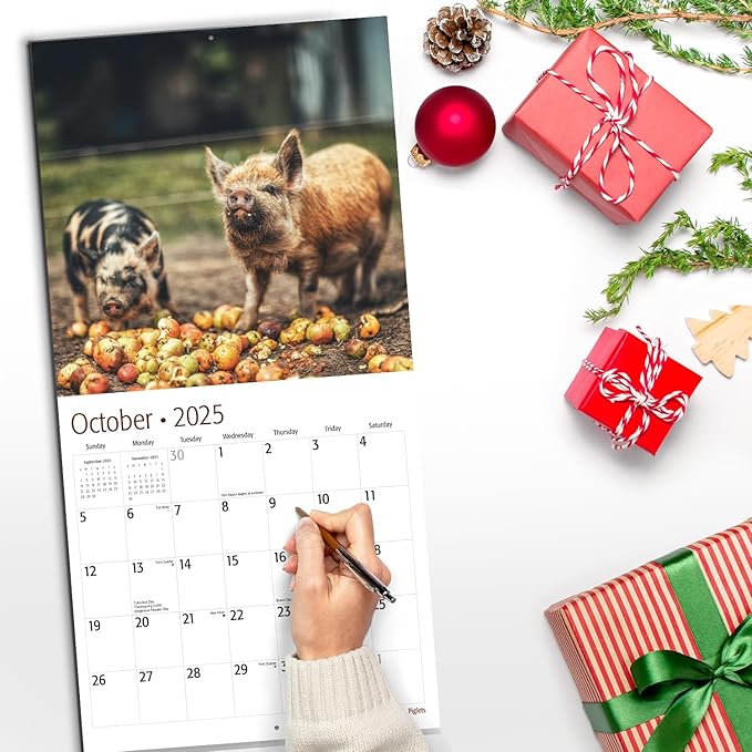RED EMBER Piglets 2025 Wall Calendar 12 Month | 12" x 24" Open | Thick & Sturdy Paper | Giftable | Calendar 2025