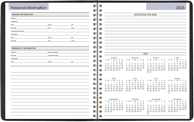 AT-A-GLANCE 2025 Planner, Weekly, 7" x 8-3/4", Medium, Block-Style, DayMinder, Black (G5350025)