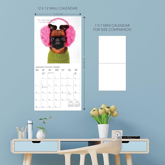 Graphique 2024 Pawparazzi Wall Calendar | 12” x 12” | Thick Paper | Home & Office Organizer | Large Monthly Grid | 3 Languages & Marked Holidays | 4 Month Preview Page for 2025
