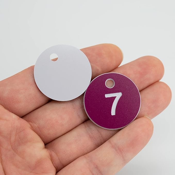 StayMax Plastic ID Number Tags Engraved Tags Key Tags Without Key Rings (1-100, Purple)