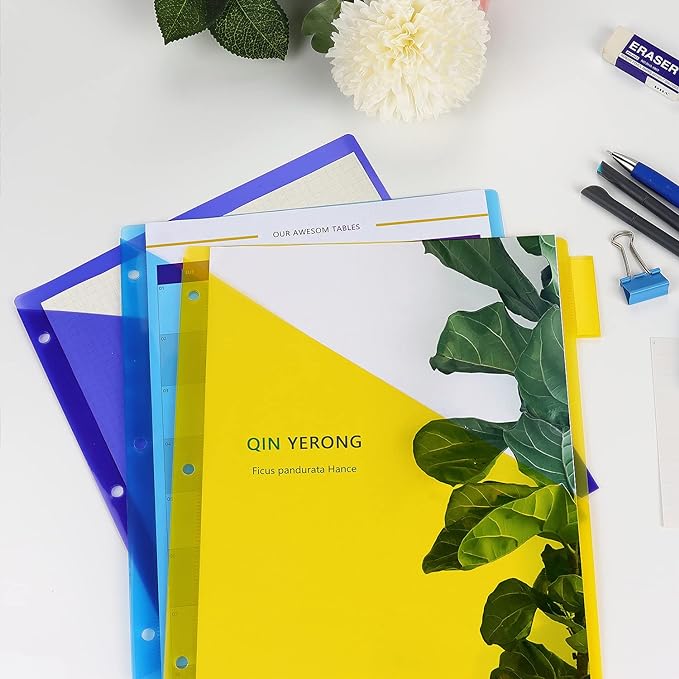 Plastic Binder Dividers with One Front Pocket and Tab Binder Divider for 3 Ring Binder, Multicolor, 10 Pack