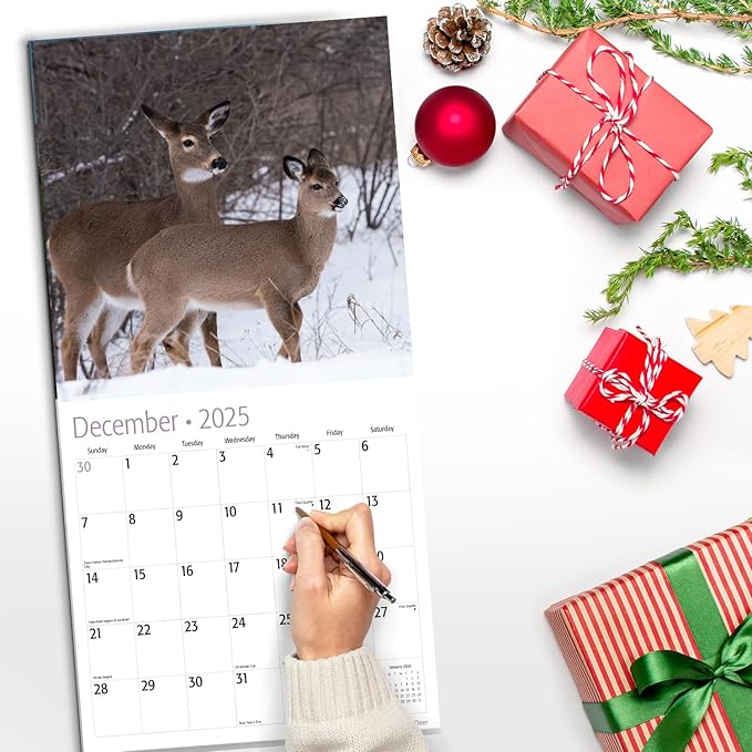 RED EMBER Whitetail Deer 2025 Wall Calendar 12 Month | 12" x 24" Open | Thick & Sturdy Paper | Giftable | Calendar 2025