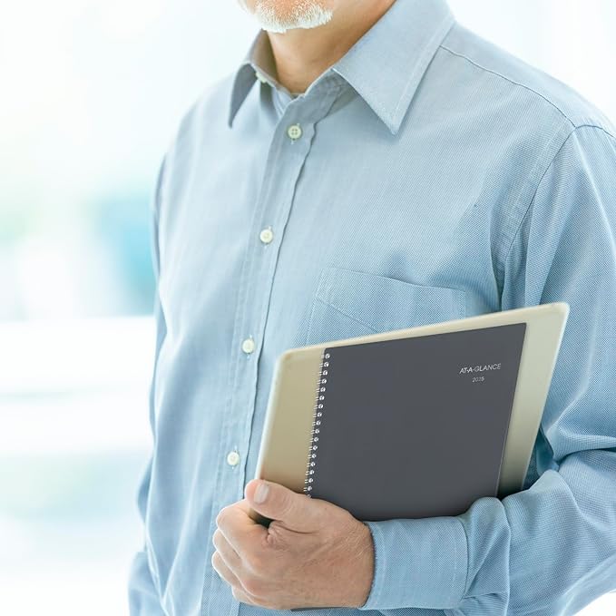 AT-A-GLANCE 2025 Appointment Book Planner, Weekly & Monthly, 8-1/2" x 11", Large, Quarter-Hourly, DayMinder, Gray (GC5200725)