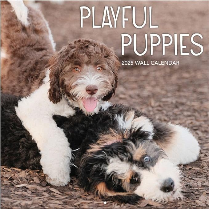 TURNER PHOTOGRAPHIC Playful Puppies 12x12 Photo Wall Calendar (25998940045)