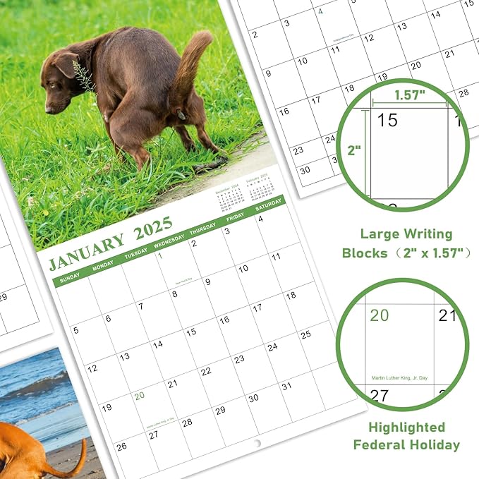 Gag Gifts - Pooping Dogs Calendar, 2025 Wall Calendar from January 2025 to December 2025, Funny Dogs Calendar, Funny Gag Gifts for Family, Friends, 11.8'' x 11.8''