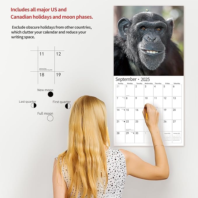 2025 Wall Calendar,Funny Calendar 2025, November 2024 - December 2025, Wall Calendar Funny Animal Memes, 12" x 24" Opened, Full Page 14 Months Thick Paper for Gift Calendar Organizing Planning