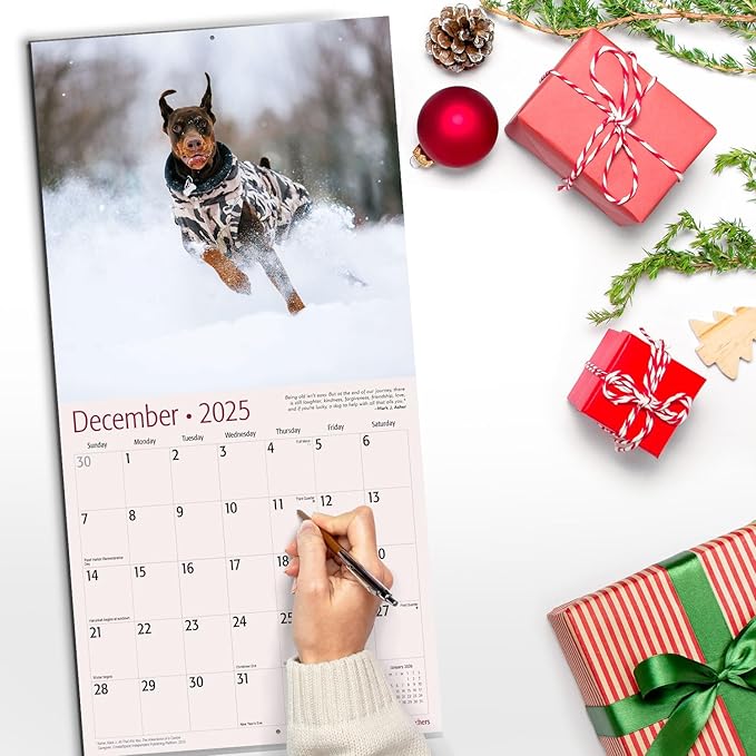 RED EMBER Doberman Pinschers 2025 Wall Calendar 12 Month | 12" x 24" Open | Thick & Sturdy Paper | Giftable | Calendar 2025
