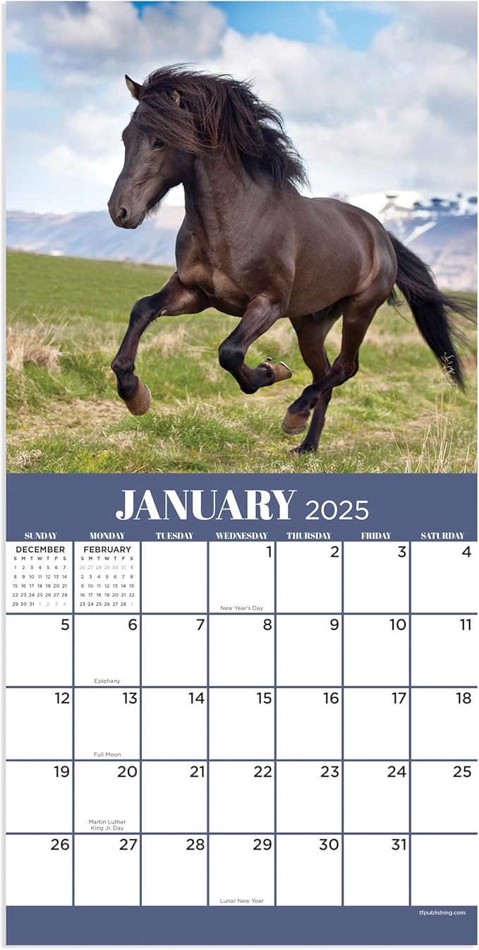 TF PUBLISHING 2025 Horses Mini Calendar Case of 90 - Large Grids for Appointments and Scheduling - Vertical Monthly Wall Calendar 2025 - Home and Office Organization - Premium Gloss Paper - 7"x7"
