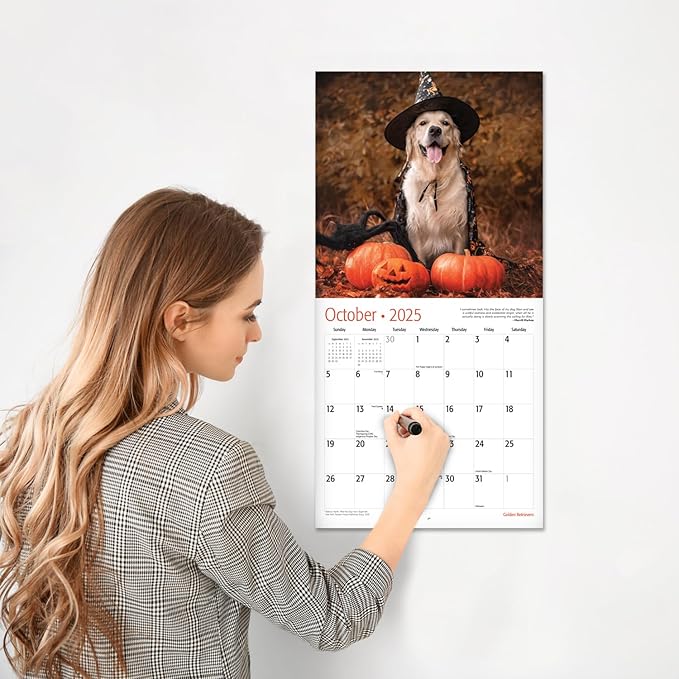 RED EMBER Golden Retrievers 2025 Wall Calendar 12 Month | 12" x 24" Open | Thick & Sturdy Paper | Giftable | Calendar 2025