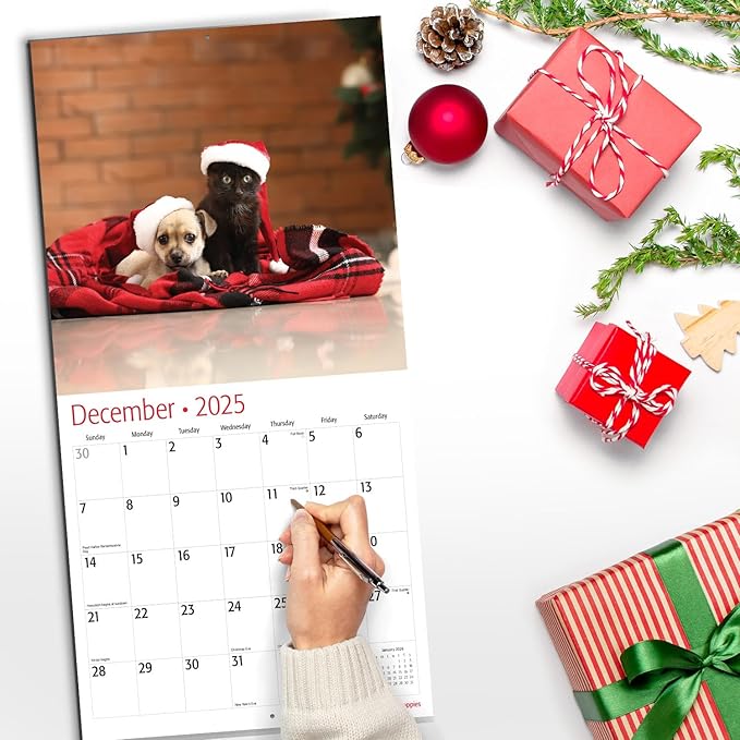 RED EMBER Select - Kittens & Puppies 2025 Wall Calendar 12 Month | 12" x 24" Open | Thick & Sturdy Paper | Giftable | Calendar 2025