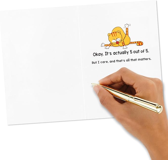 Hallmark Shoebox Funny Birthday Card (Cats Don't Care)