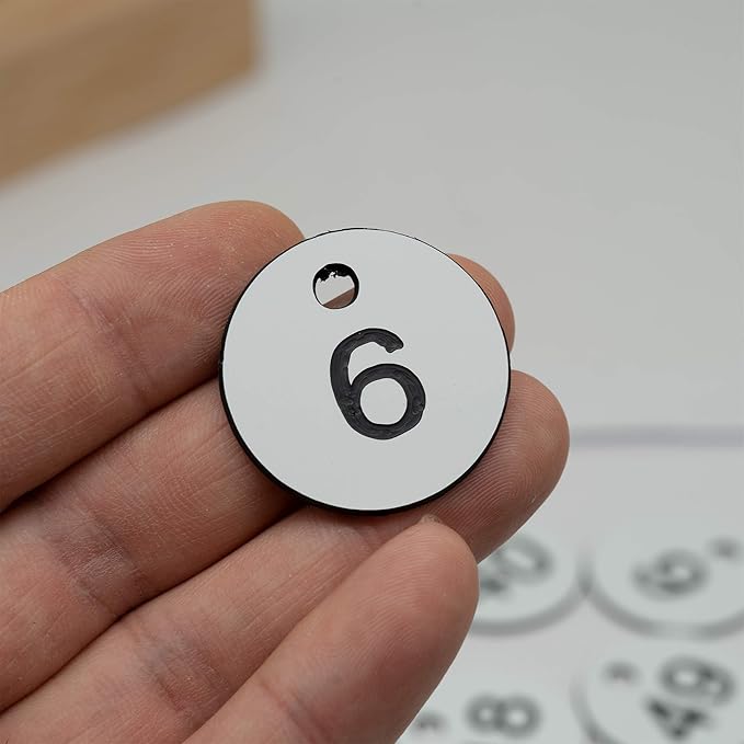 StayMax Plastic ID Number Tags Engraved Tags Key Tags Without Key Rings (201-300, White)