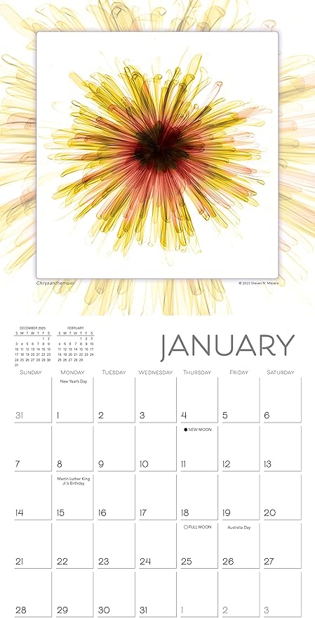 Flower Spirits 2024 Mini Calendar — Radiographs of Nature by Steven N. Meyers, 7" x 7"