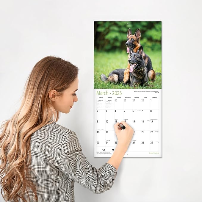 RED EMBER Select - German Shepherds 2025 Wall Calendar 12 Month | 12" x 24" Open | Thick & Sturdy Paper | Giftable | Calendar 2025