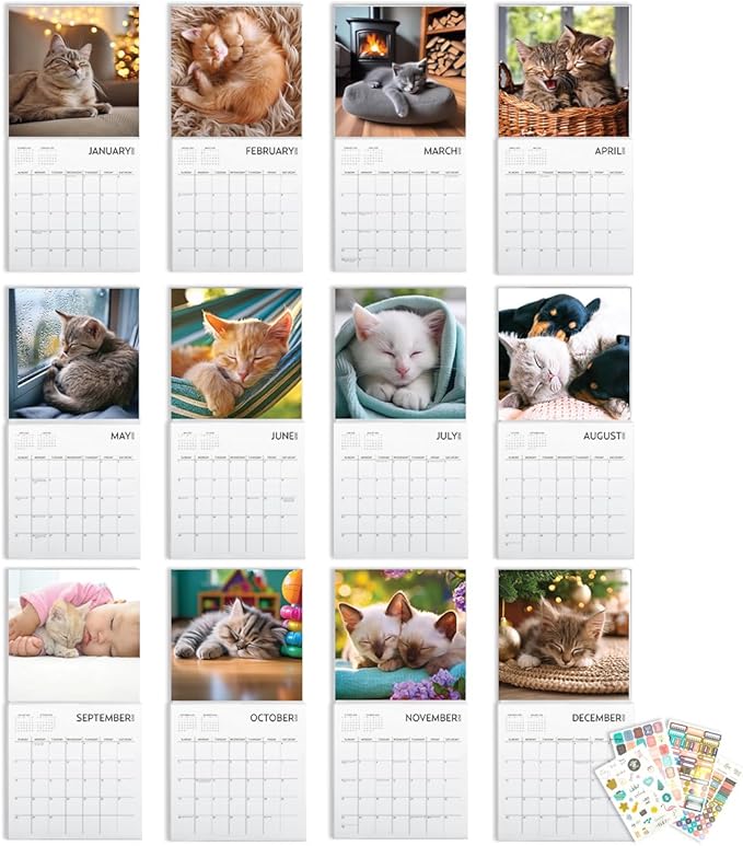 Cat Calendar 2025 with Sticker Pack, Kitten Square Large Wall Calendar 12 x 12 inch, Yearly Cat Lover's Calendar and Sticker Set