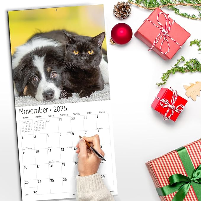 RED EMBER Dogs & Cats 2025 Wall Calendar 12 Month | 12" x 24" Open | Thick & Sturdy Paper | Giftable | Calendar 2025
