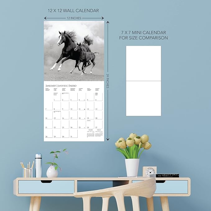 Graphique 2024 Horses Wall Calendar | 12” x 12” | Thick Paper | Home & Office Organizer | Large Monthly Grid | 3 Languages & Marked Holidays | 4 Month Preview Page for 2025