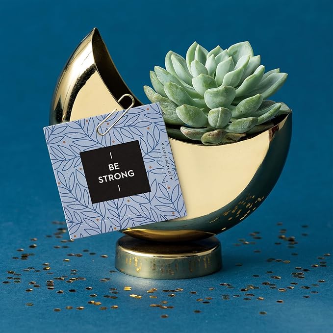 Compendium ThoughtFulls Pop-Open Cards — Be Strong — 30 Pop-Open Cards, Each with a Different Inspiring Message Inside