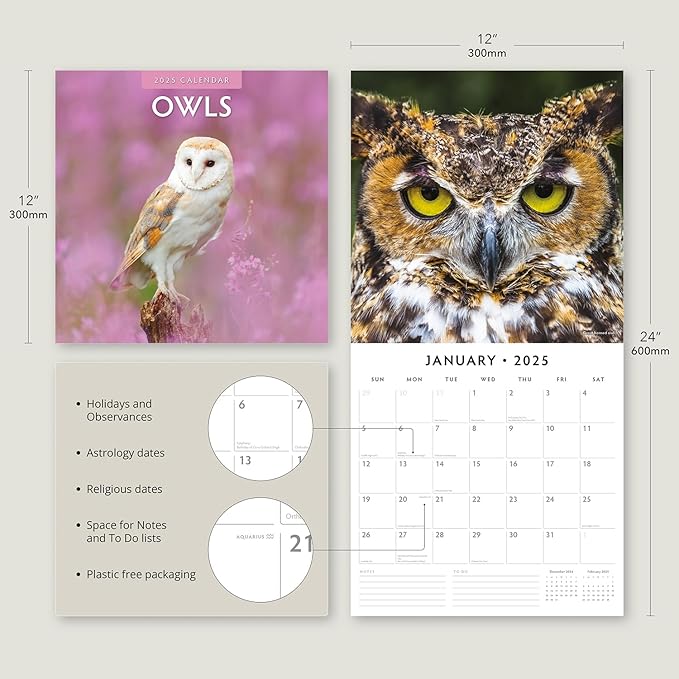 Red Robin 2025 Owls Monthly Wall Calendar | 12" x 24" Open | Premium Thick & Sturdy Paper | Hangable 12 Month Calendar | Plastic Free | 4 Month Transition Page for 2024