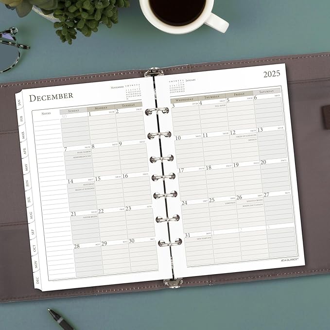 AT-A-GLANCE 2025 Planner, Daily & Monthly, 5-1/2" x 8-1/2", Desk Size, Two Page Per Day Refill, Loose-Leaf (481-225A-25)