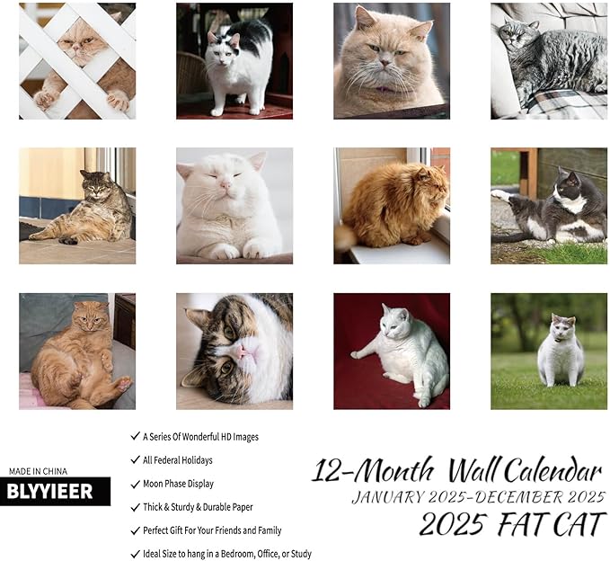 2025 Wall Calendar,Calendar 2025,Fat Cats Monthly Wall Calendar, 12" x 24" Open,Family Planner Calendar Organizer with funny fat cats Images, for Cats Lovers