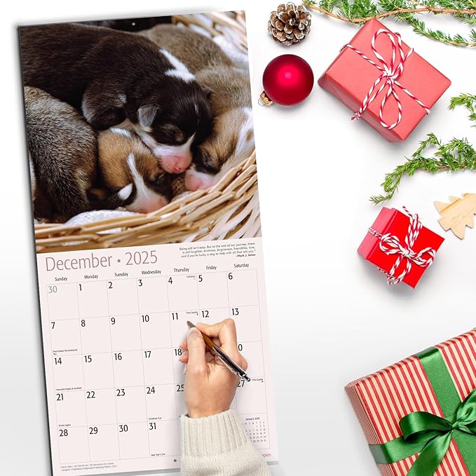 RED EMBER Pooped Puppies 2025 Wall Calendar 12 Month | 12" x 24" Open | Thick & Sturdy Paper | Giftable | Calendar 2025