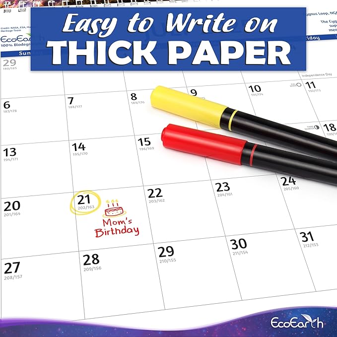 EcoEarth - Biodegradable 11x17 Inch (Open) 12-Month Vertical Hanging Wall Calendar - 2025 Monthly Calendar - Space