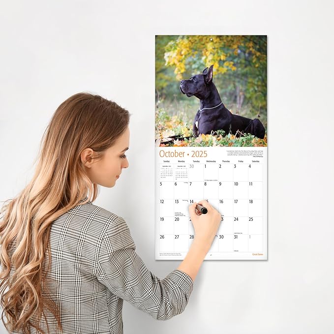 RED EMBER Great Danes 2025 Wall Calendar 12 Month | 12" x 24" Open | Thick & Sturdy Paper | Giftable | Calendar 2025
