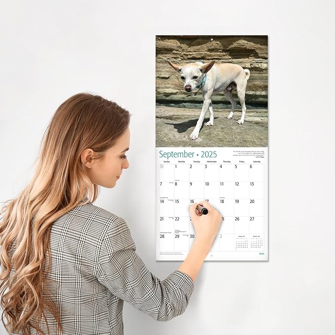 RED EMBER Mutts 2025 Wall Calendar 12 Month | 12" x 24" Open | Thick & Sturdy Paper | Giftable | Calendar 2025