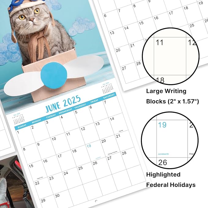 2025 Wall Calendar - January 2025 - December 2025, Funny Cat Calendar 2025, Wall Calendar Gag Gift, Funny Cat Memes Pics, 12'' x 24'' (Open), Funny Cat Calendar, Unruled Block, Hanging Hole, Holidays