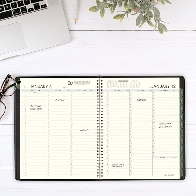 AT-A-GLANCE 2025 Appointment Book Planner, Weekly & Monthly, 7" x 8-3/4", Medium, Quarter-Hourly, Recycled, Black (70951G0525)