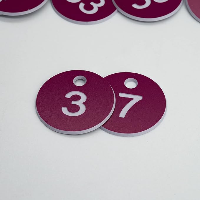 StayMax Plastic ID Number Tags Engraved Tags Key Tags Without Key Rings (1-100, Purple)