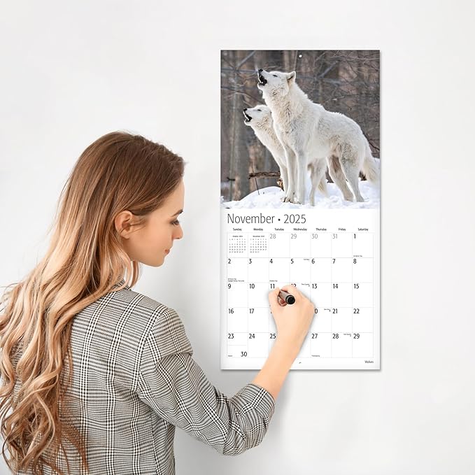 RED EMBER Select - Wolves 2025 Wall Calendar 12 Month | 12" x 24" Open | Thick & Sturdy Paper | Giftable | Calendar 2025