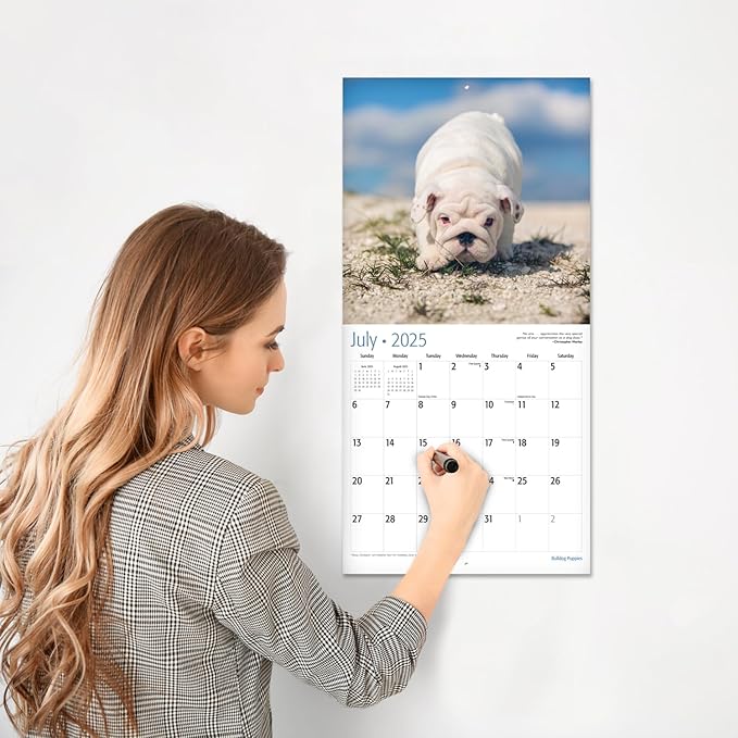 RED EMBER Bulldog Puppies 2025 Wall Calendar 12 Month | 12" x 24" Open | Thick & Sturdy Paper | Giftable | Calendar 2025