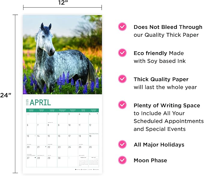 2025 Horses Monthly Wall Calendar by Bright Day, Includes Over 300 Stickers, 12 x 12 Inch