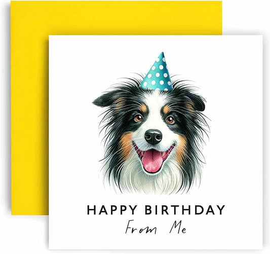 Huxters Birthday Card from the Dog – Border Collie - Happy Birthday to Dog Mum and Dog Dad – Birthday Card from the Dog to Friends Family First Birthday (Border Collie)