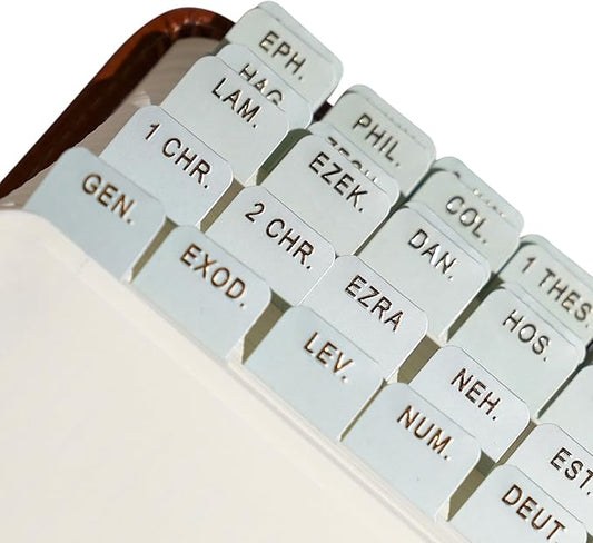 Idyllic Grace - Mini Bible Tabs, Embossed Gold Foil, Journaling, Small Bibles, Study Tool, 90 Tabs, Old and New Testament, Christian, Catholic, Apocrypha, Index Tabs, Matte Laminated - Olive Branch