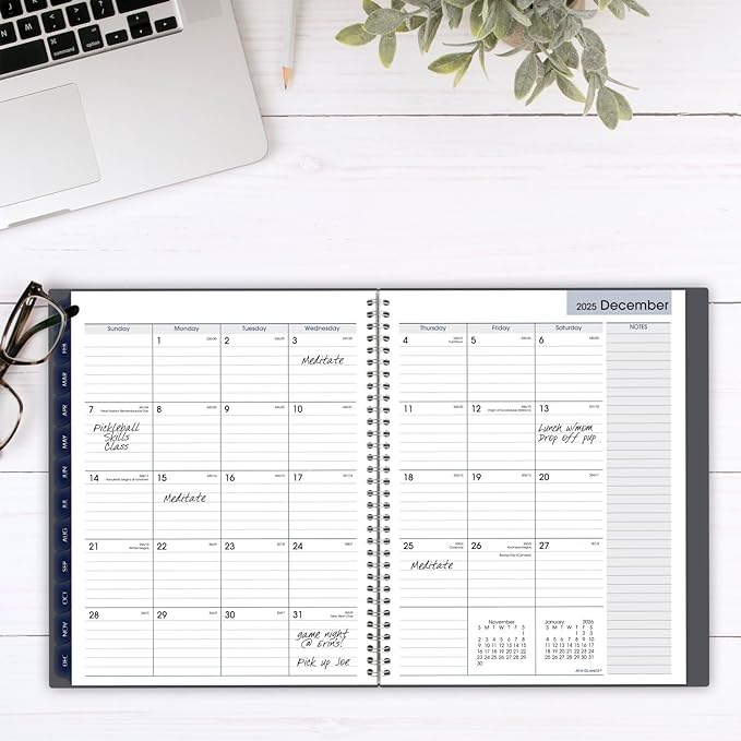 AT-A-GLANCE 2025 Appointment Book Planner, Weekly & Monthly, 8-1/2" x 11", Large, Quarter-Hourly, DayMinder, Gray (GC5200725)
