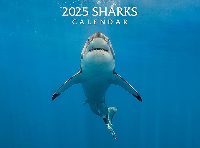 2025 Sharks Wall Calendar
